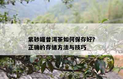 紫砂罐普洱茶如何保存好？正确的存储方法与技巧