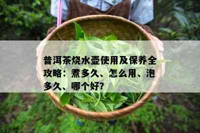 普洱茶烧水壶使用及保养全攻略：煮多久、怎么用、泡多久、哪个好？