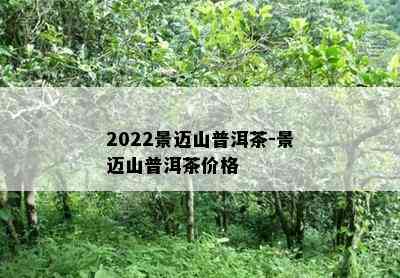 2022景迈山普洱茶-景迈山普洱茶价格