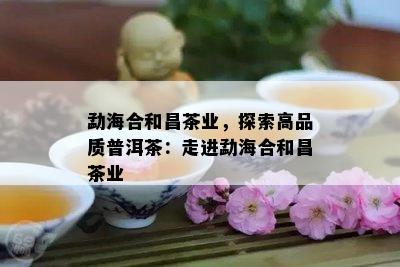 勐海合和昌茶业，探索高品质普洱茶：走进勐海合和昌茶业