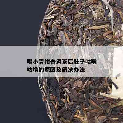 喝小青柑普洱茶后肚子咕噜咕噜的原因及解决办法