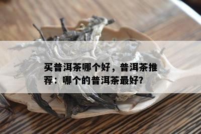 买普洱茶哪个好，普洱茶推荐：哪个的普洱茶更好？