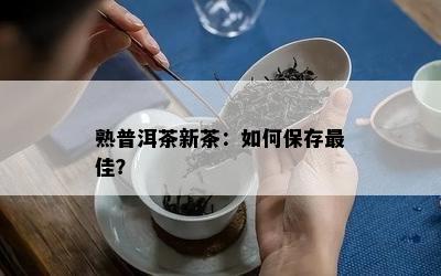 熟普洱茶新茶：如何保存更佳？