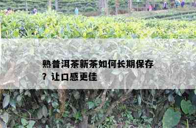 熟普洱茶新茶如何长期保存？让口感更佳