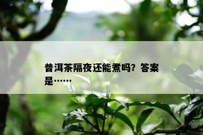 普洱茶隔夜还能煮吗？答案是……