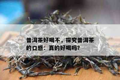 普洱茶好喝不，探究普洱茶的口感：真的好喝吗？