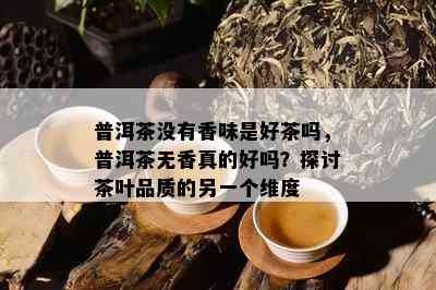 普洱茶没有香味是好茶吗，普洱茶无香真的好吗？探讨茶叶品质的另一个维度