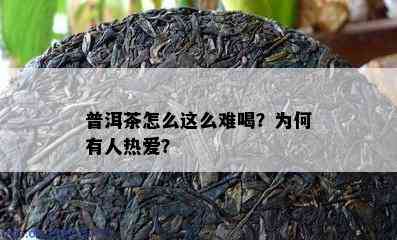 普洱茶怎么这么难喝？为何有人热爱？