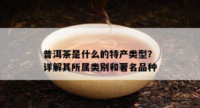 普洱茶是什么的特产类型？详解其所属类别和著名品种