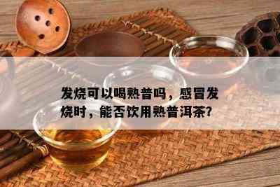 发烧可以喝熟普吗，感冒发烧时，能否饮用熟普洱茶？