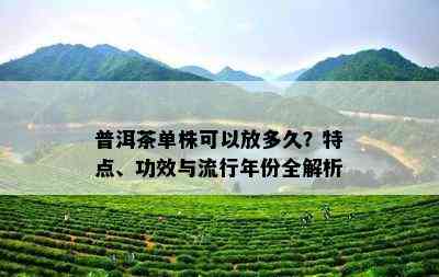 普洱茶单株可以放多久？特点、功效与流行年份全解析