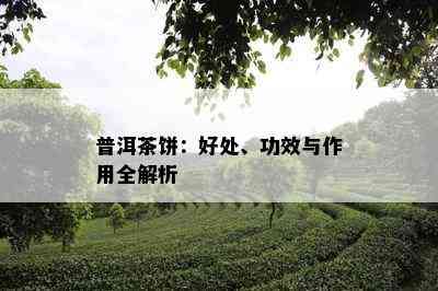 普洱茶饼：好处、功效与作用全解析