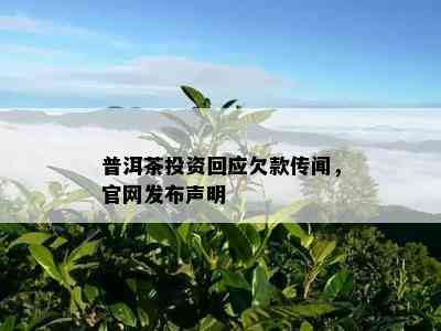 普洱茶投资回应欠款传闻，官网发布声明