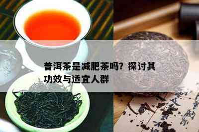 普洱茶是减肥茶吗？探讨其功效与适宜人群