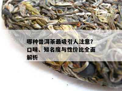 哪种普洱茶最吸引人注意？口味、知名度与性价比全面解析