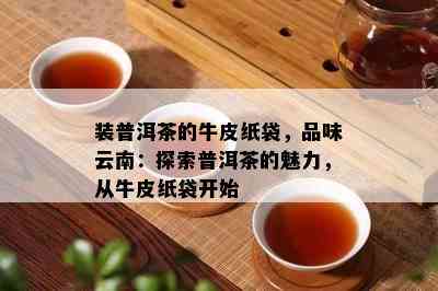 装普洱茶的牛皮纸袋，品味云南：探索普洱茶的魅力，从牛皮纸袋开始