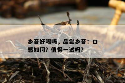 乡音好喝吗，品尝乡音：口感如何？值得一试吗？