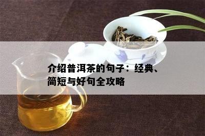 介绍普洱茶的句子：经典、简短与好句全攻略