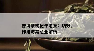 普洱茶枸杞子泡茶：功效、作用与禁忌全解析