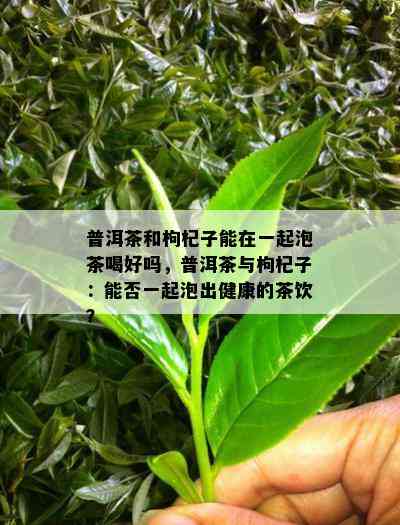 普洱茶和枸杞子能在一起泡茶喝好吗，普洱茶与枸杞子：能否一起泡出健康的茶饮？