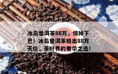 冰岛普洱茶88万，惊掉下巴！冰岛普洱茶拍出88万天价，茶叶界的奢华之选！