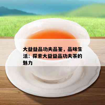 大益益品功夫品鉴，品味生活：探索大益益品功夫茶的魅力