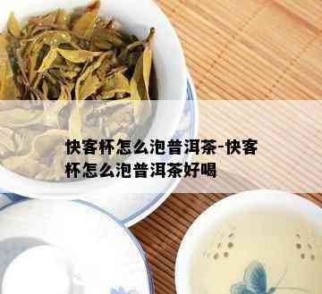 快客杯怎么泡普洱茶-快客杯怎么泡普洱茶好喝