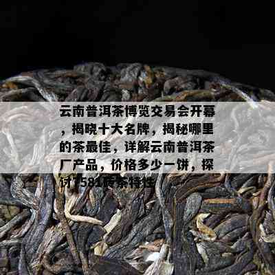 云南普洱茶博览交易会开幕，揭晓十大名牌，揭秘哪里的茶更佳，详解云南普洱茶厂产品，价格多少一饼，探讨7581砖茶特性