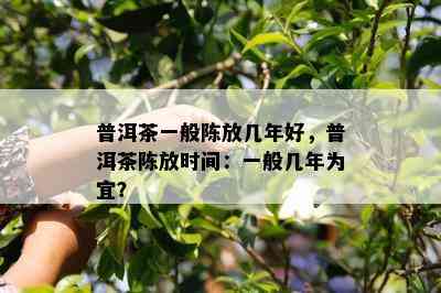 普洱茶一般陈放几年好，普洱茶陈放时间：一般几年为宜？