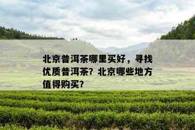 北京普洱茶哪里买好，寻找优质普洱茶？北京哪些地方值得购买？