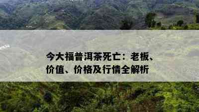 今大福普洱茶死亡：老板、价值、价格及行情全解析