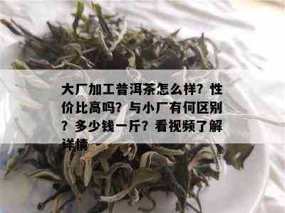 大厂加工普洱茶怎么样？性价比高吗？与小厂有何区别？多少钱一斤？看视频了解详情