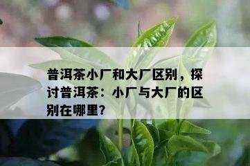 普洱茶小厂和大厂区别，探讨普洱茶：小厂与大厂的区别在哪里？