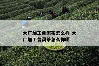 大厂加工普洱茶怎么样-大厂加工普洱茶怎么样啊