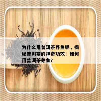 为什么用普洱茶养呢，揭秘普洱茶的神奇功效：如何用普洱茶养？