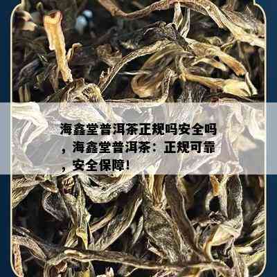 海鑫堂普洱茶正规吗安全吗，海鑫堂普洱茶：正规可靠，安全保障！