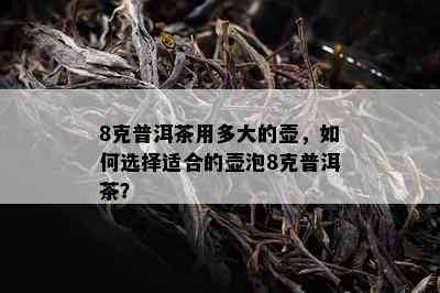 8克普洱茶用多大的壶，如何选择适合的壶泡8克普洱茶？