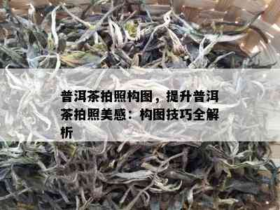 普洱茶拍照构图，提升普洱茶拍照美感：构图技巧全解析