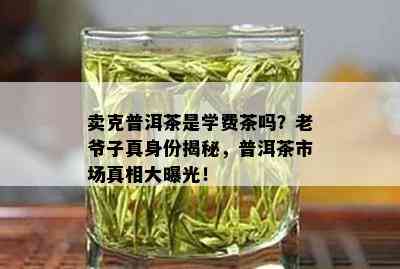 卖克普洱茶是学费茶吗？老爷子真身份揭秘，普洱茶市场真相大曝光！