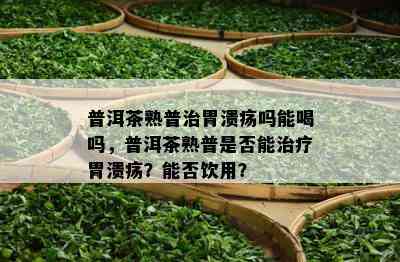 普洱茶熟普治胃溃疡吗能喝吗，普洱茶熟普是否能治疗胃溃疡？能否饮用？