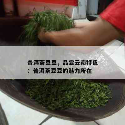 普洱茶豆豆，品尝云南特色：普洱茶豆豆的魅力所在