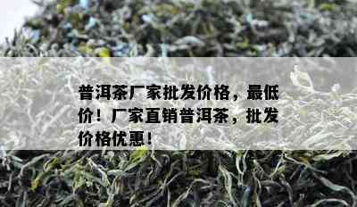 普洱茶厂家批发价格，更低价！厂家直销普洱茶，批发价格优惠！