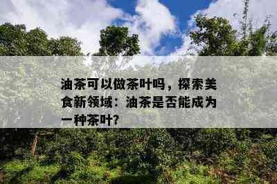 油茶可以做茶叶吗，探索美食新领域：油茶是否能成为一种茶叶？