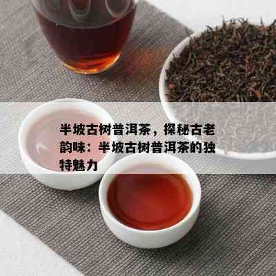 半坡古树普洱茶，探秘古老韵味：半坡古树普洱茶的独特魅力