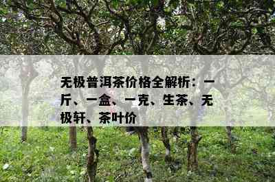 无极普洱茶价格全解析：一斤、一盒、一克、生茶、无极轩、茶叶价