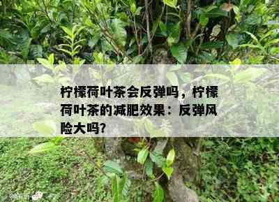 柠檬荷叶茶会反弹吗，柠檬荷叶茶的减肥效果：反弹风险大吗？