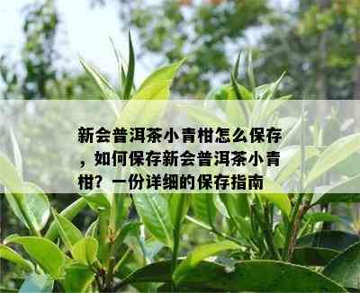 新会普洱茶小青柑怎么保存，如何保存新会普洱茶小青柑？一份详细的保存指南