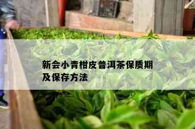 新会小青柑皮普洱茶保质期及保存方法