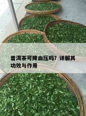 普洱茶可降血压吗？详解其功效与作用