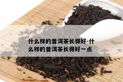 什么样的普洱茶长得好-什么样的普洱茶长得好一点